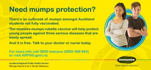 MMR Immunisation Insert